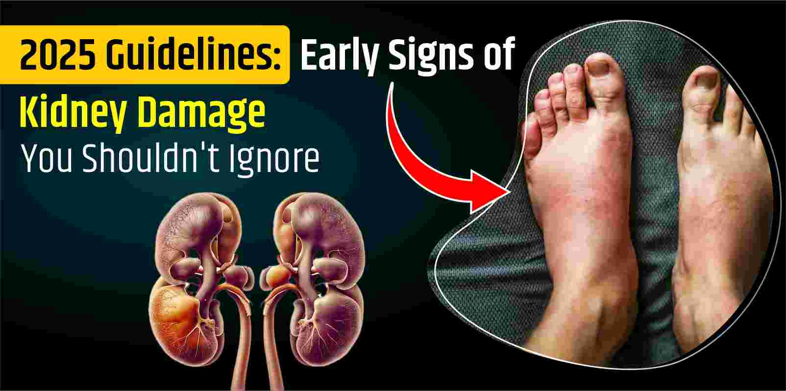 2025 Guidelines: Early Signs of Kidney Damage You Shouldn't Ignore